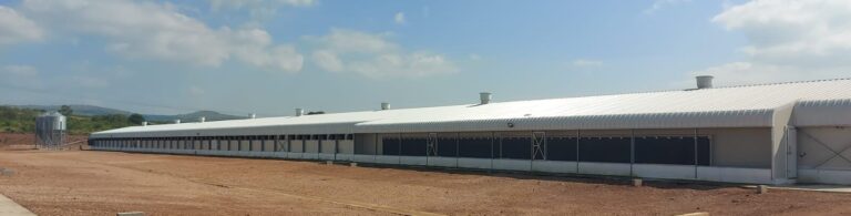 WhatsApp Image 2025-06-26 at 13.07