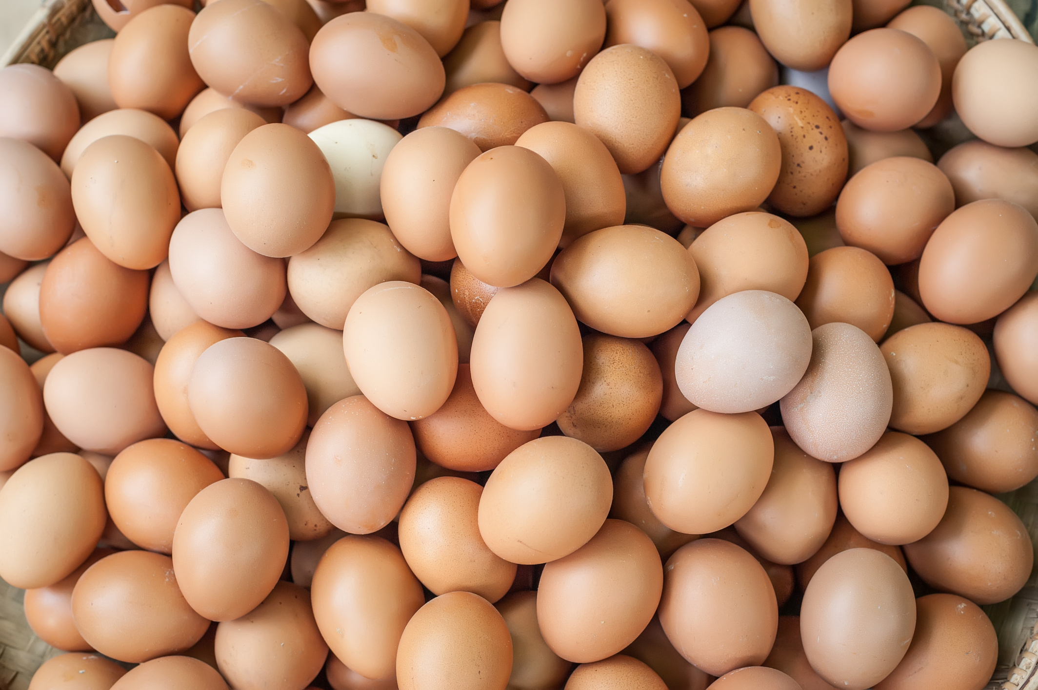 Eggs (1)