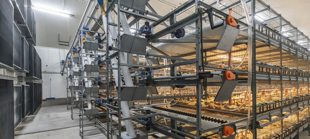 Avimax-Transit_1170x526