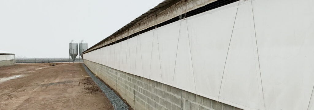 Curtain-1553x545