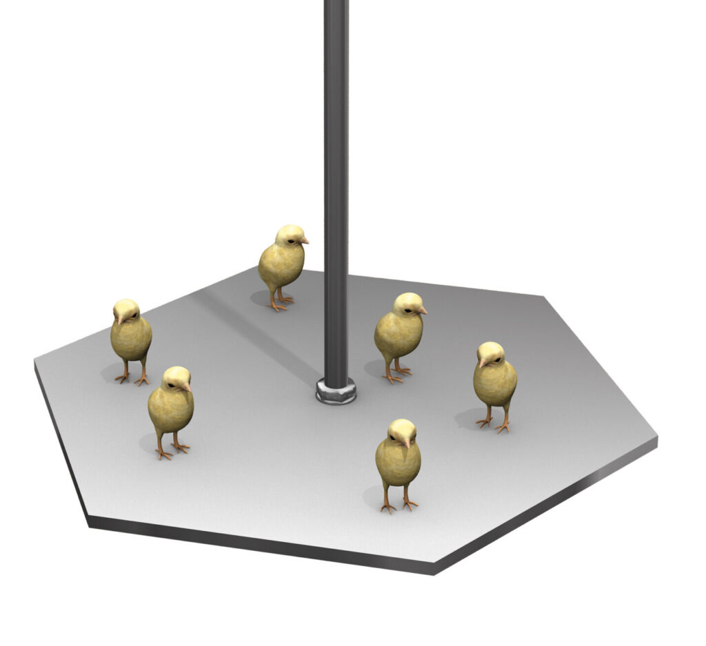 SWING 20-3D-01