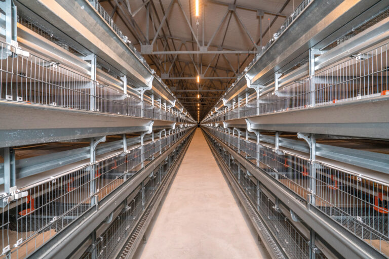 UNIVENT Starter-12 (2)