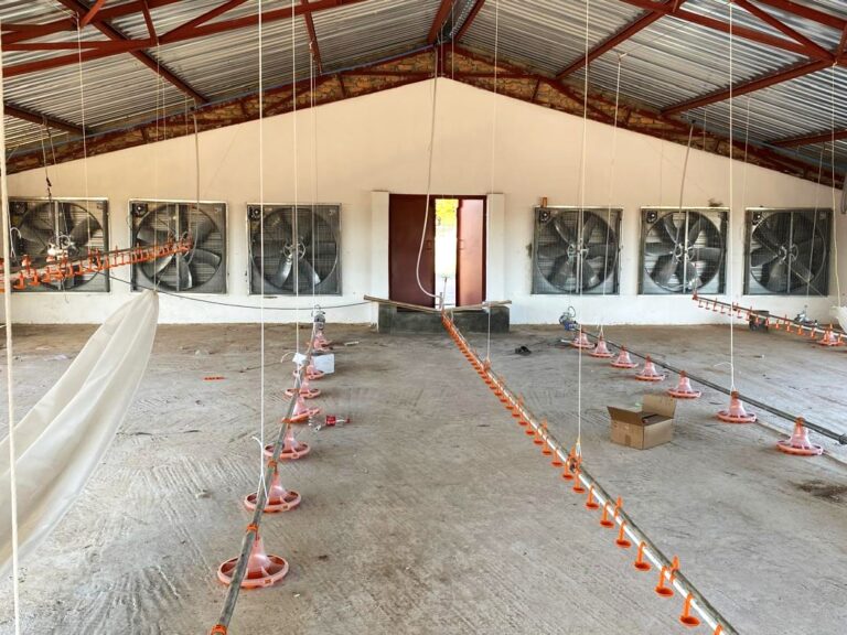 WhatsApp Image 2025-06-26 at 15.48