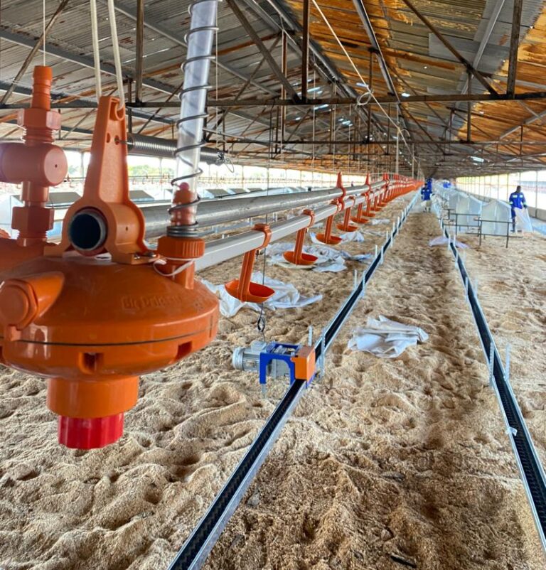 WhatsApp Image 2025-06-26 at 15.48