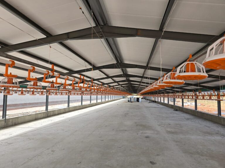 WhatsApp Image 2025-08-19 at 09.10