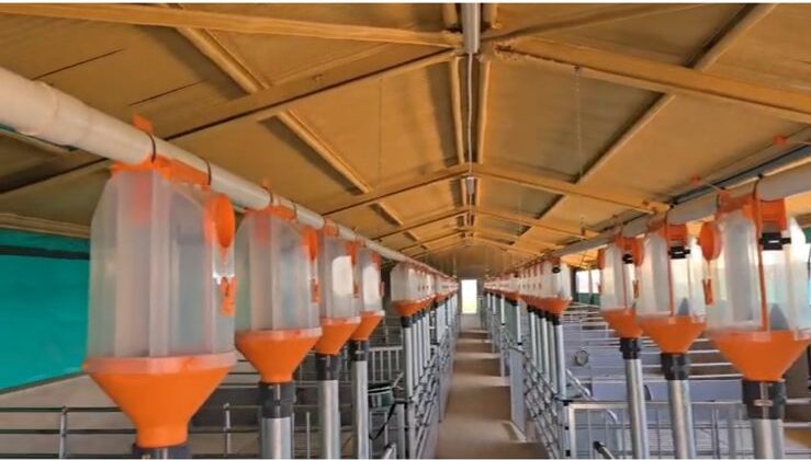 WhatsApp Image 2025-11-03 at 16.34