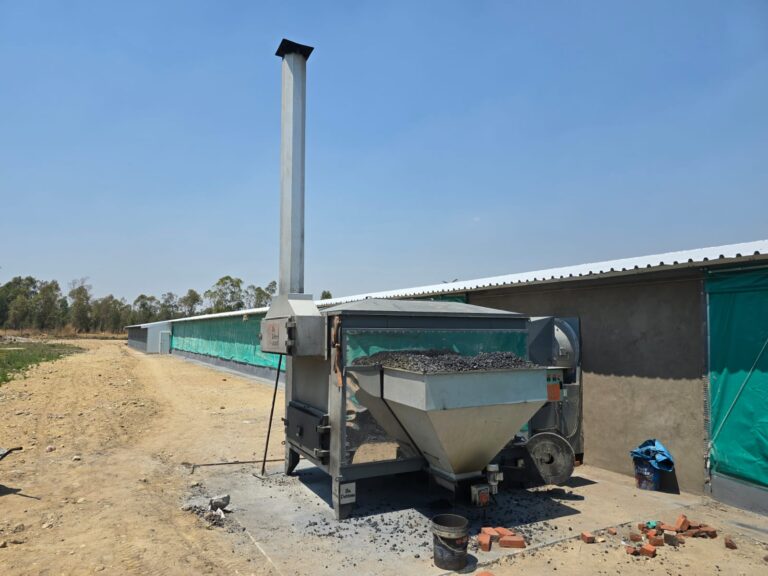 WhatsApp Image 2026-02-27 at 10.11