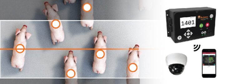 smart-counting-01-1553x545
