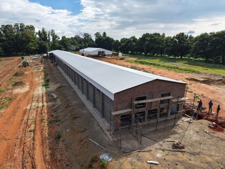 WhatsApp Image 2026-01-22 at 13.47