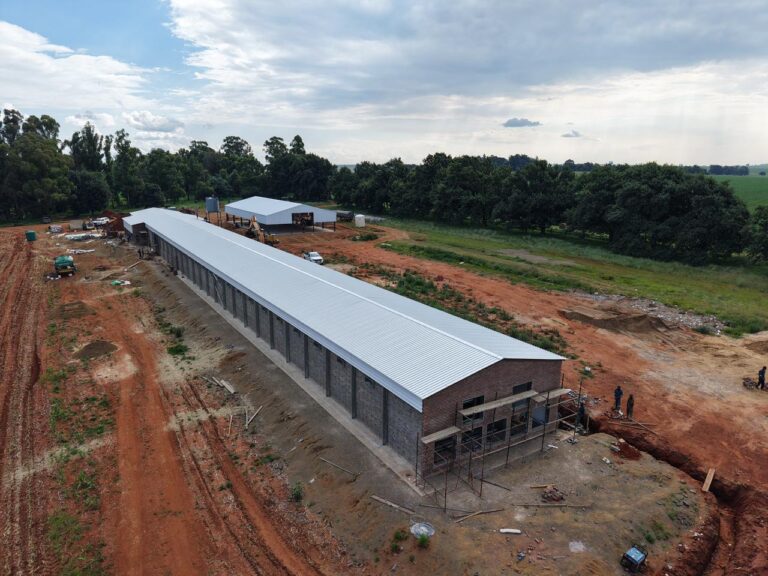 WhatsApp Image 2026-01-22 at 13.47