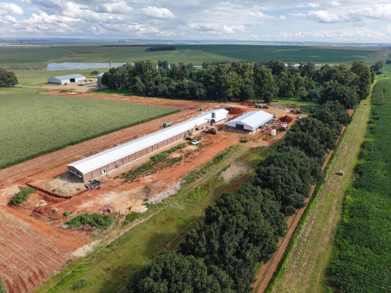 WhatsApp Image 2026-01-22 at 13.47