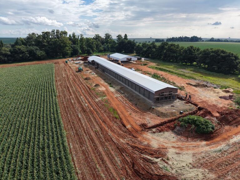 WhatsApp Image 2026-01-22 at 13.47