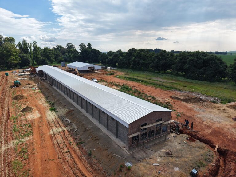 WhatsApp Image 2026-01-22 at 13.47