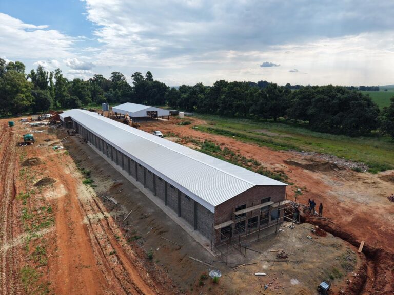 WhatsApp Image 2026-01-22 at 13.47