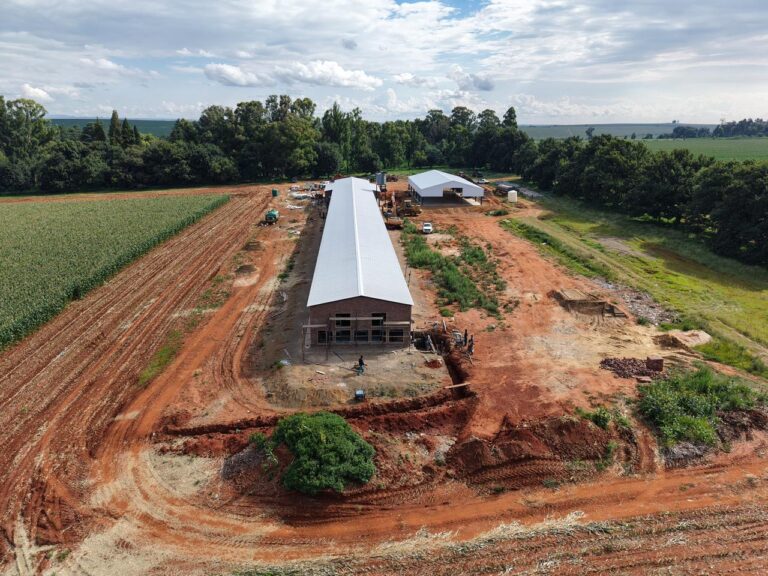 WhatsApp Image 2026-01-22 at 13.47