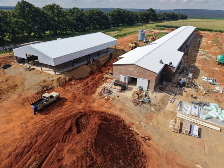 WhatsApp Image 2026-01-22 at 13.47