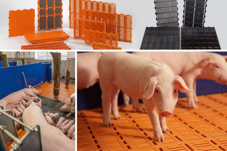 csm_Schweinehaltung-Buchtensysteme-Big-Dutchman_72_a5b7ee3ff5